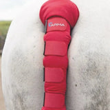 Shires ARMA Padded Tail Guard #colour_red